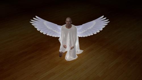 Wings Angel preview image